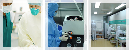 DC-細胞再生療法